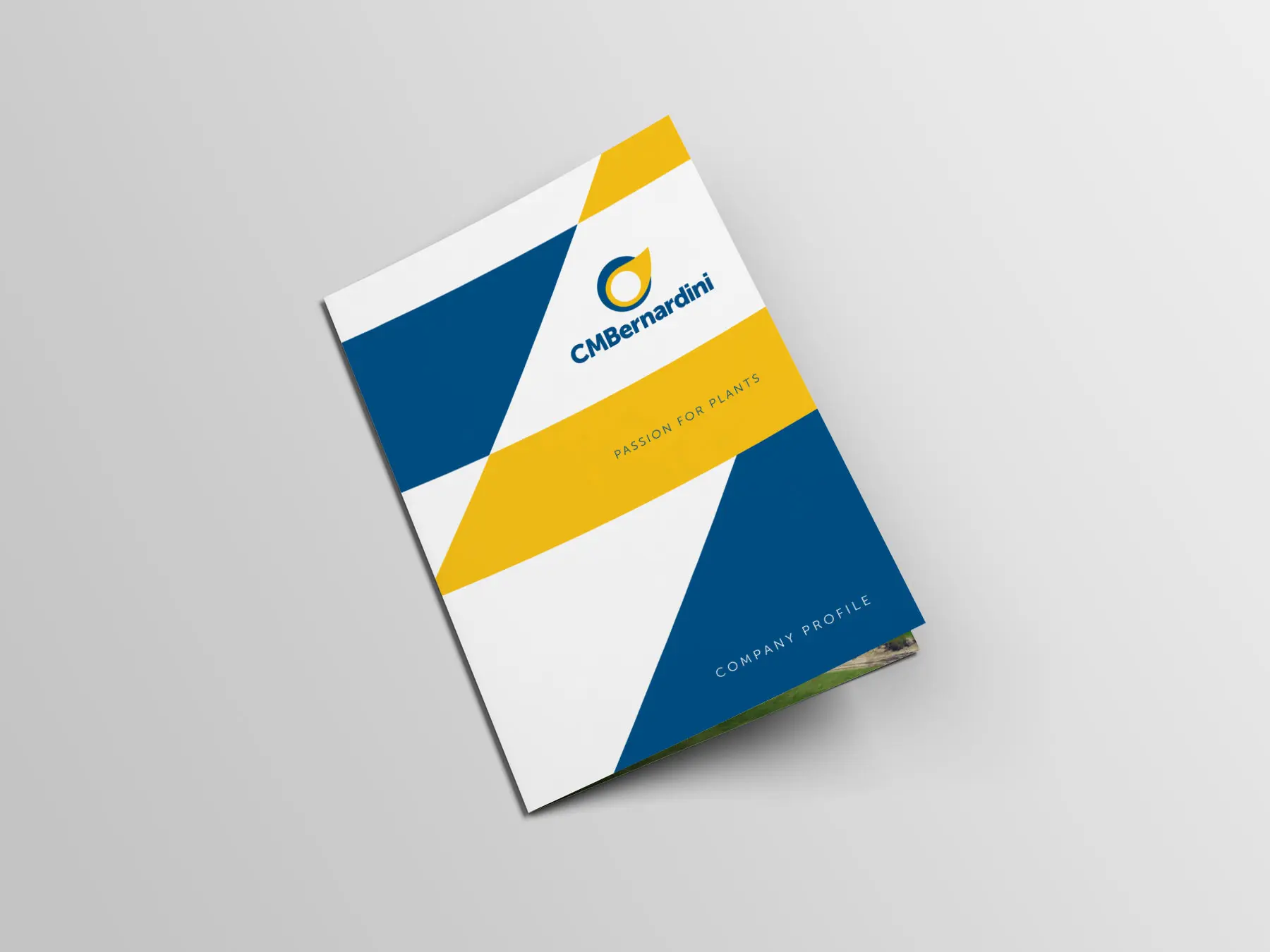 Brochure CMBERNARDINI