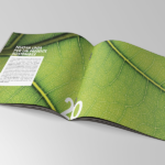 Brochure Manini