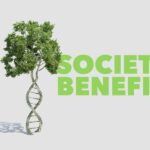 Società Benefit