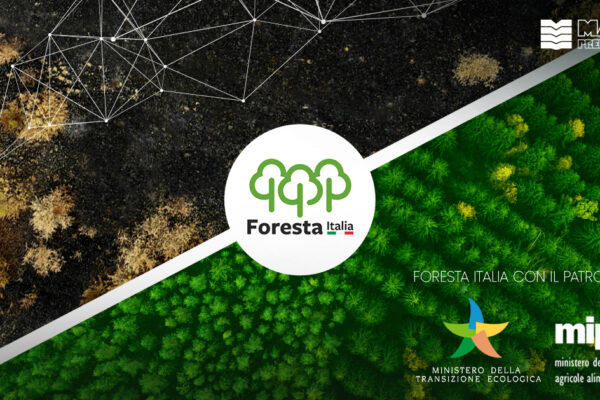 Manini Prefabbricati aderisce a Foresta Italia
