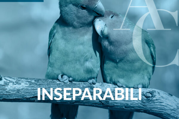 About Consulting torna con Agenzia Brand