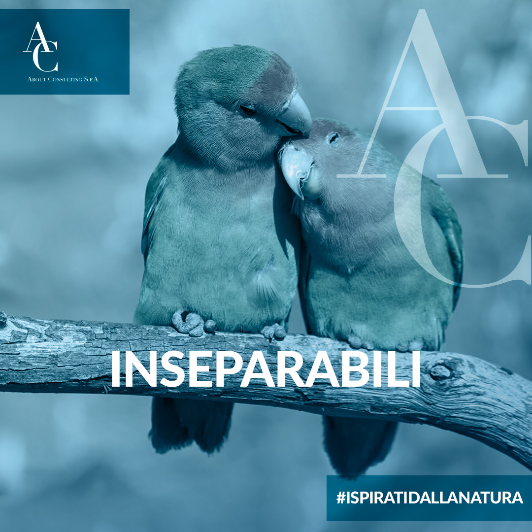 About Consulting torna con Agenzia Brand About Consulting torna con Agenzia Brand