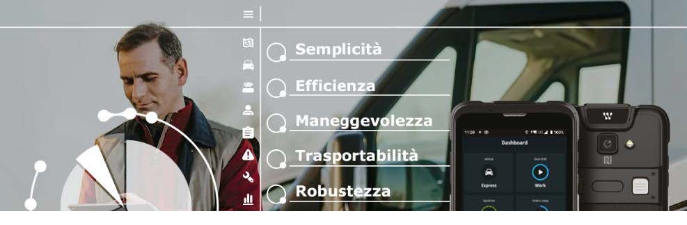 ANALISI SURVEY LCV DRIVER